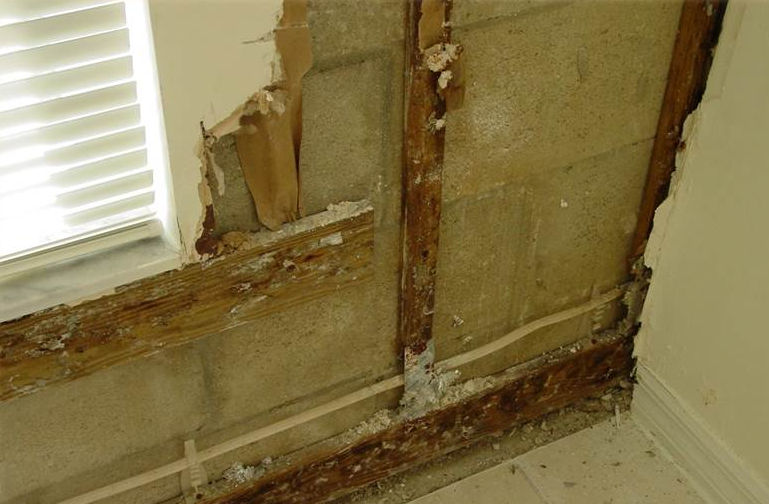 LCM Engineering, PLLC, Leaking Windows.